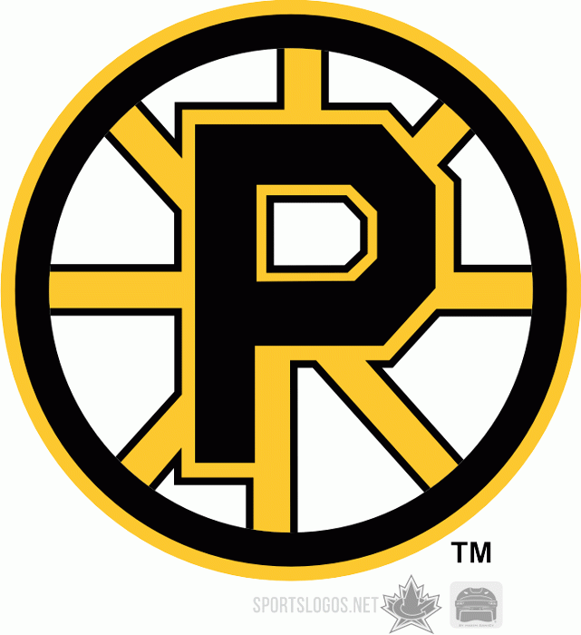 Providence Bruins 1995 96-2011 12 Primary Logo iron on transfers for clothing